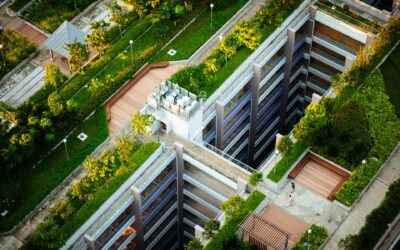 Green Roofs in Architecture: Advantages and Integration